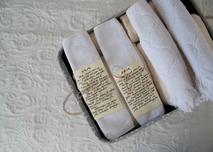 Отель Artemis 3*