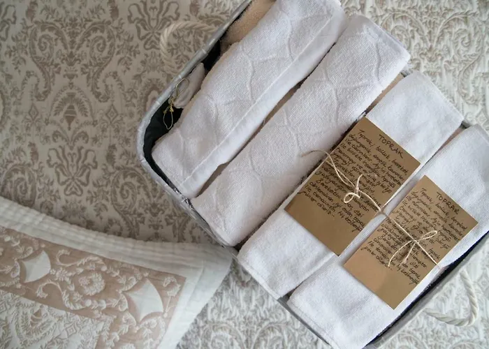 Artemis Отель 3*