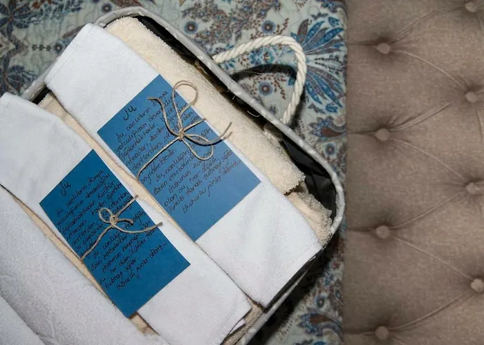 Отель Artemis Сельчук