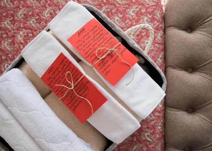 Artemis 3* Сельчук